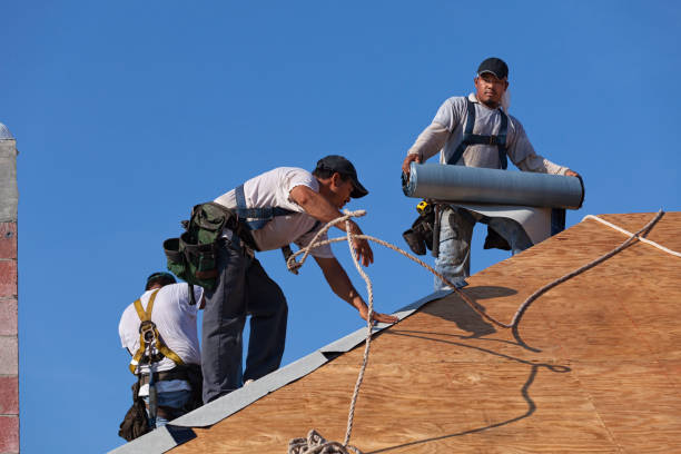 Roof Gutter Cleaning in Manila, AR